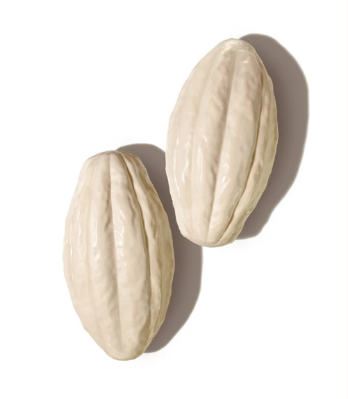 Ekos Sabonete em Barra Puro Vegetal cremoso Cacau, Seife, Natura 4x100g